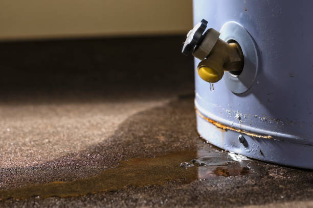 Best Commercial water damage restoration  in Westfield, NJ