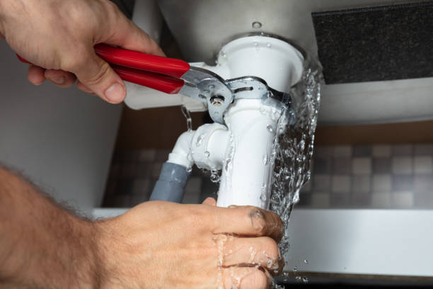 Best Flood restoration services  in Westfield, NJ