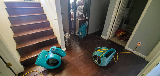 24/7 water damage repair in NJ