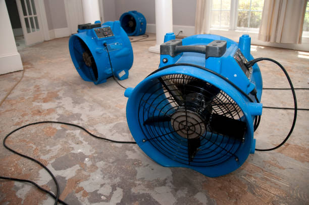 Best Carpet water damage restoration  in Westfield, NJ