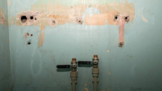 Best Professional water damage repair  in Westfield, NJ