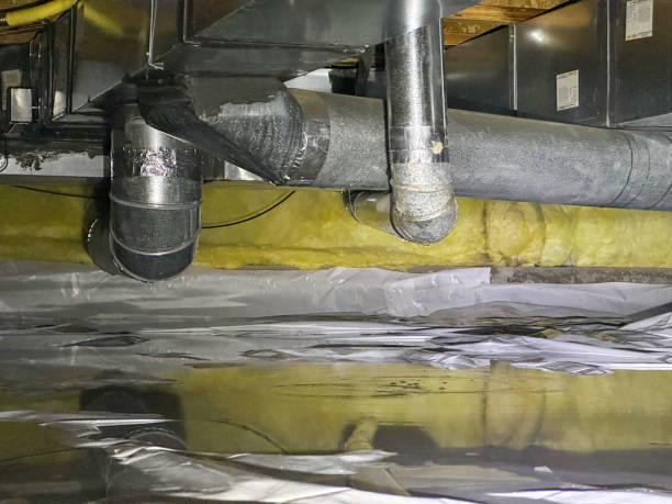 Best 24/7 water damage repair  in Westfield, NJ