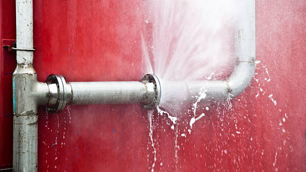Best Basement water damage restoration  in Westfield, NJ